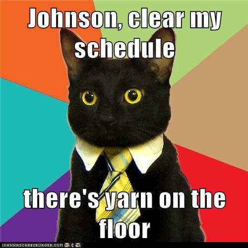 Animal Memes: Business Cat - I'm All Tied Up at the Moment