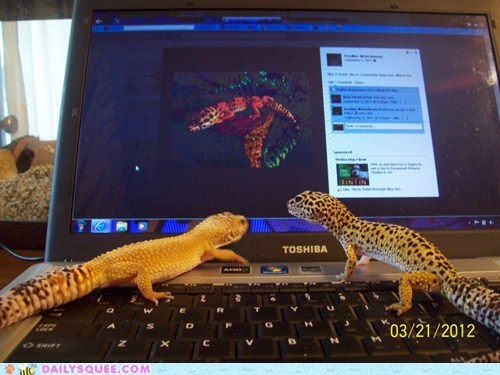 Reader Squees: Everybody Loves Facebook