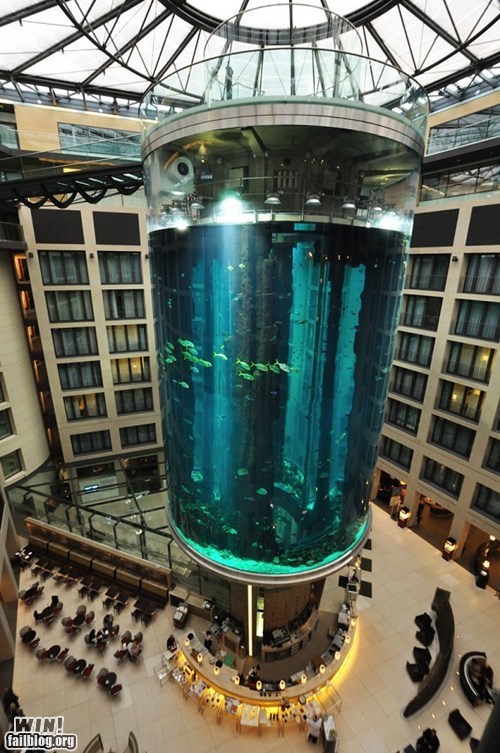 Cylindrical Aquarium WIN