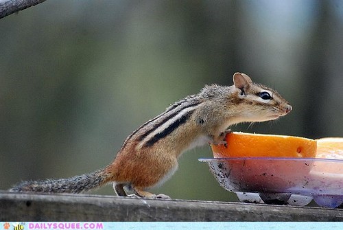 Can I Have Seconds?