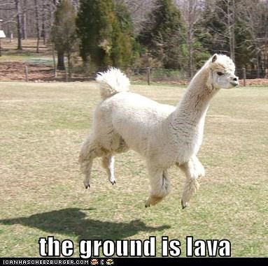 Animal Capshunz: Expert Level Play