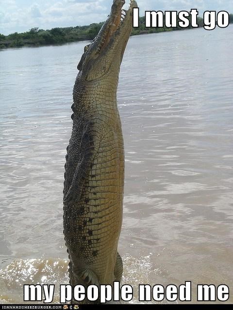 Crockie Died On the Way Back to His Home Planet
