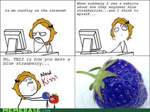 MEME MADNESS: Fruitmen