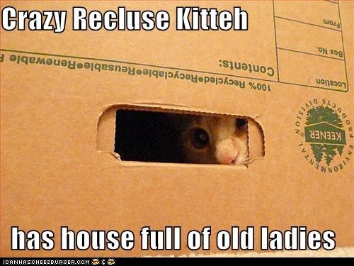 Lolcats: Classic Lolcat