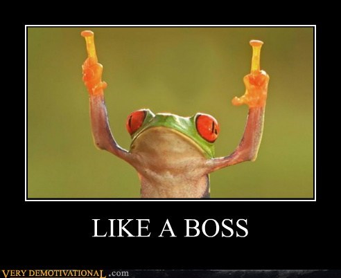LIKE A BOSS