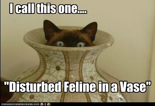 Lolcats: Performance Art Has Always Disturbed Me
