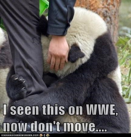 It's Not the WWF Anymore! Don't Get Confused!