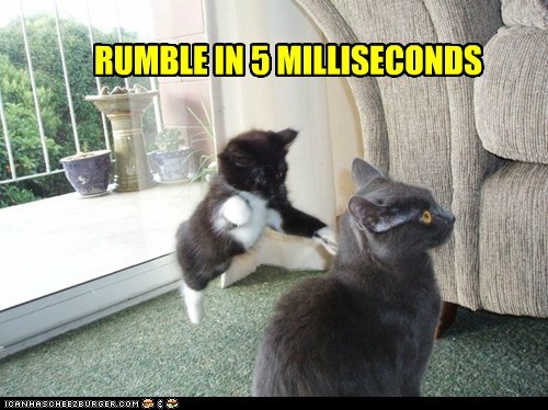 RUMBLE