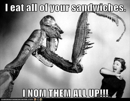 I eat all of your sandwiches.  I NOM THEM ALL UP!!!