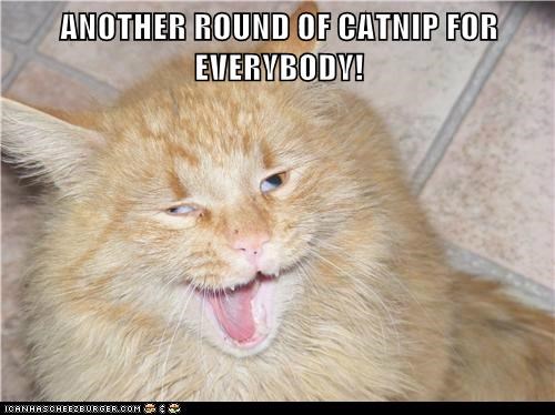 I Think You've Hurrrrrrd Enourrrrrff