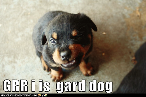 GRR i is  gard dog