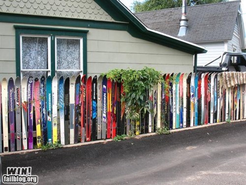 Recycling Skis WIN