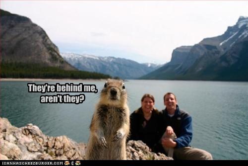 DON'T. TURN. AROUND.