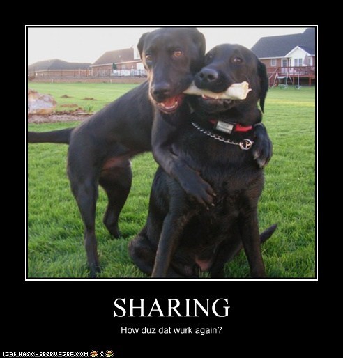 SHARING