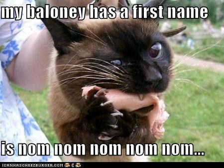 Classic LOLcat