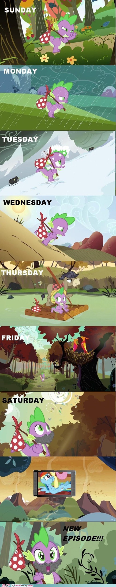 It Just Takes So Long