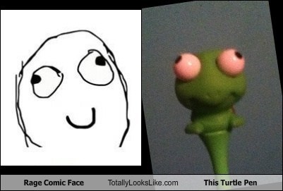 Rage Comic Face Totally Looks Like This Turtle Pen