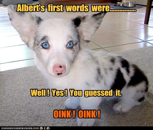 Albert's  first  words  were................
