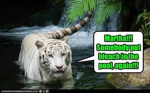 Martha!!! Somebody put bleach in the pool, again!!!