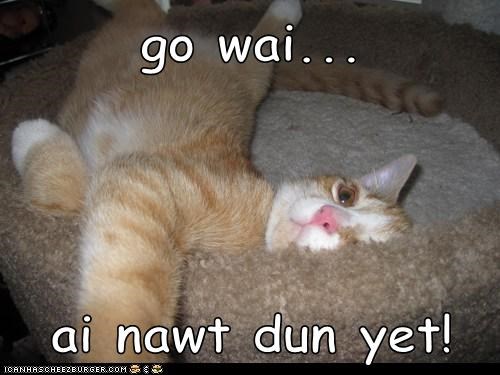 go wai...  ai nawt dun yet!