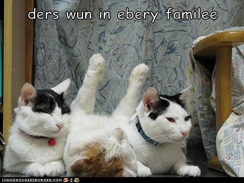 ders wun in ebery familee