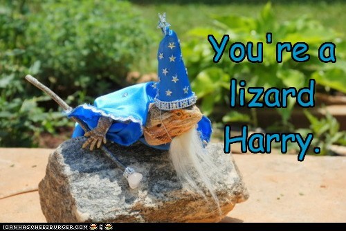 Animal Capshunz: The Series Would Have Been Less Popular This Way