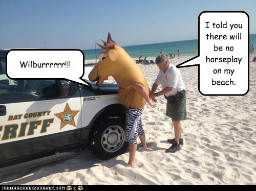 Mr Ed busted on the beach.