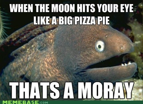 MEME MADNESS: Bad Joke Eel