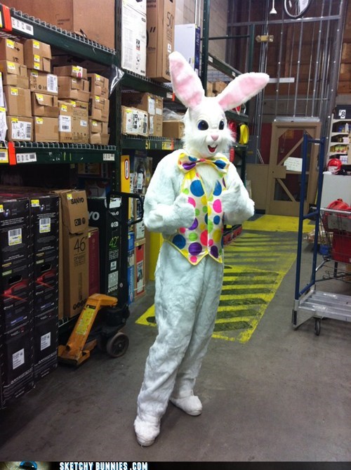 Sketchy Bunnies: The Bunny's Off-Season Job