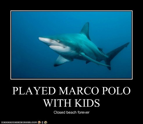Misunderstood Shark: Not As Fun By Myself