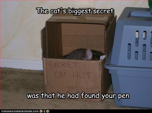 The cat's biggest secret