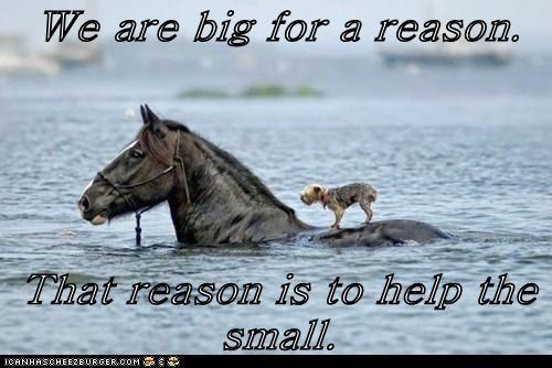 We are big for a reason.   That reason is to help the small.