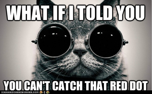 Cat Morpheus