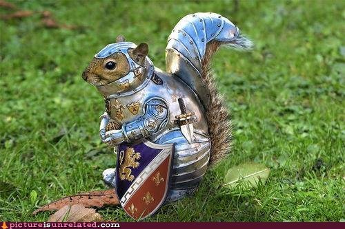 Sir Nutcelot