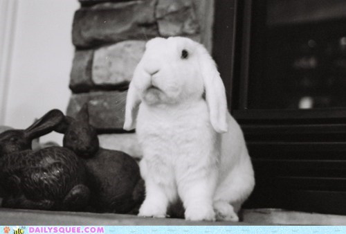 Floppy Bun