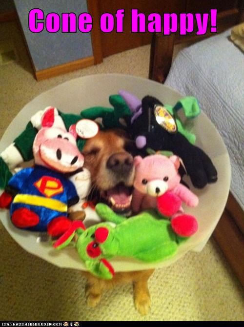 Cone of happy!