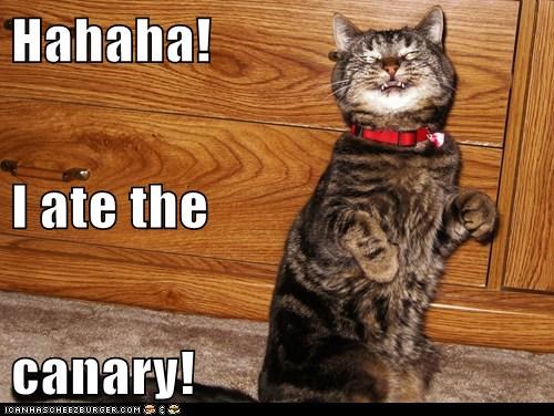 Hahaha! I ate the canary!