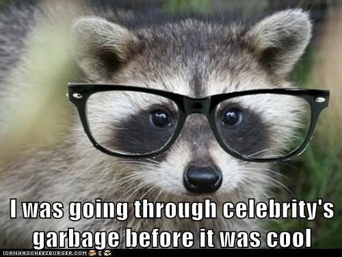 Animal Capshunz: Hipster Raccoon