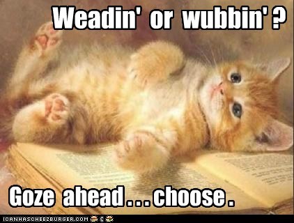 Lolcats: Book? What Book?