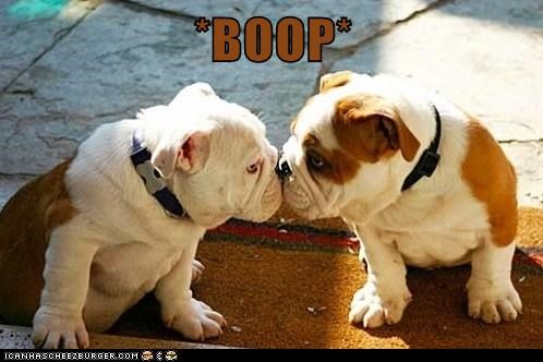 I Has A Hotdog: Kisses 