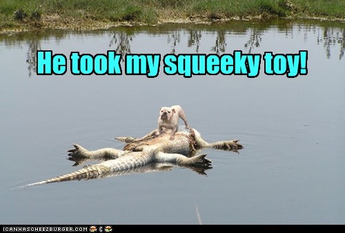 Animal Capshunz: That's the Whole Story, Officer