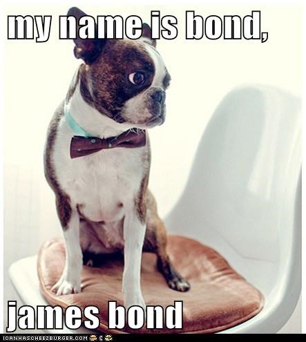 my name is bond,  james bond