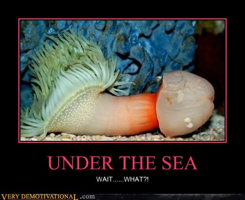 UNDER THE SEA