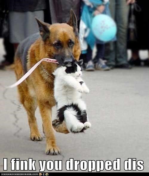 Scuse me!