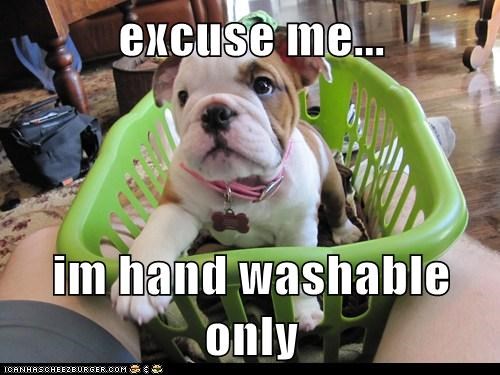 I Has A Hotdog: Plz be gntle 