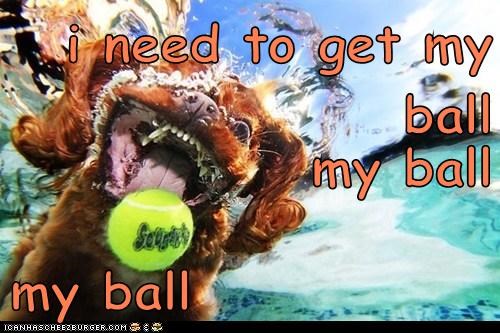 i need to get my ball my ball my ball