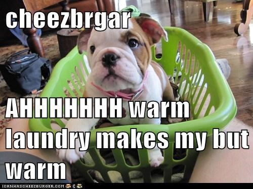 cheezbrgar  AHHHHHHH warm laundry makes my but warm