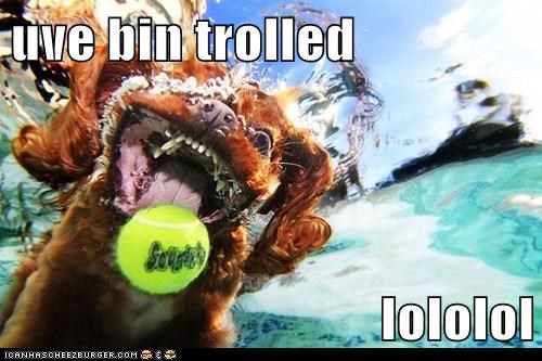 uve bin trolled  lololol