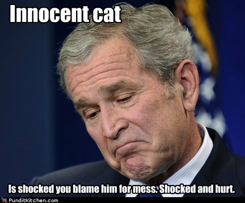 More Like Oblivious Cat...