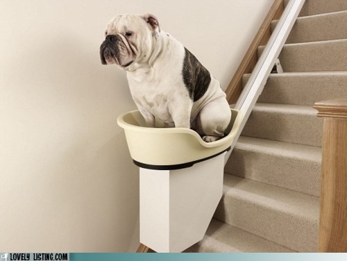 Help Fatty Up the Stairs